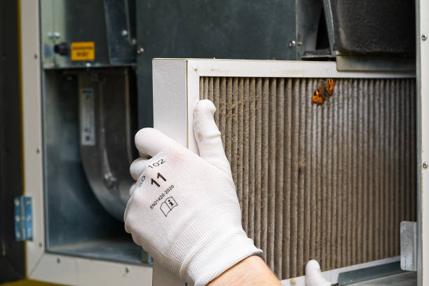 Best Air Duct Mold Removal  in Northwest Harwich, MA